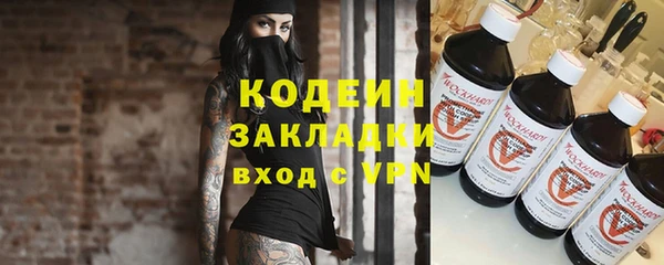 твердый Гусев