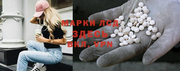 твердый Гусев