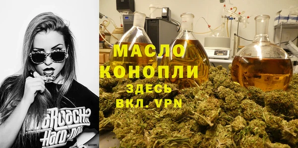 твердый Гусев