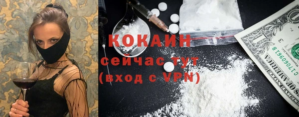 твердый Гусев