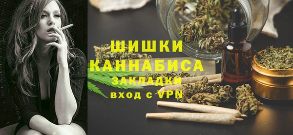 гидропоника Гусь-Хрустальный