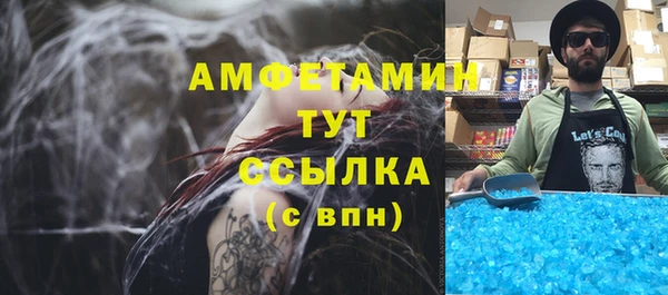 гидропоника Гусь-Хрустальный