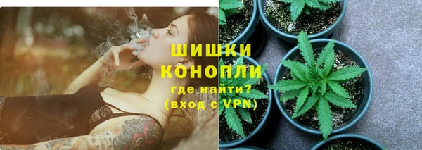 твердый Гусев