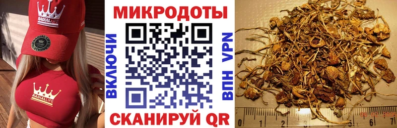 blacksprut вход  Нея  Псилоцибиновые грибы прущие грибы 